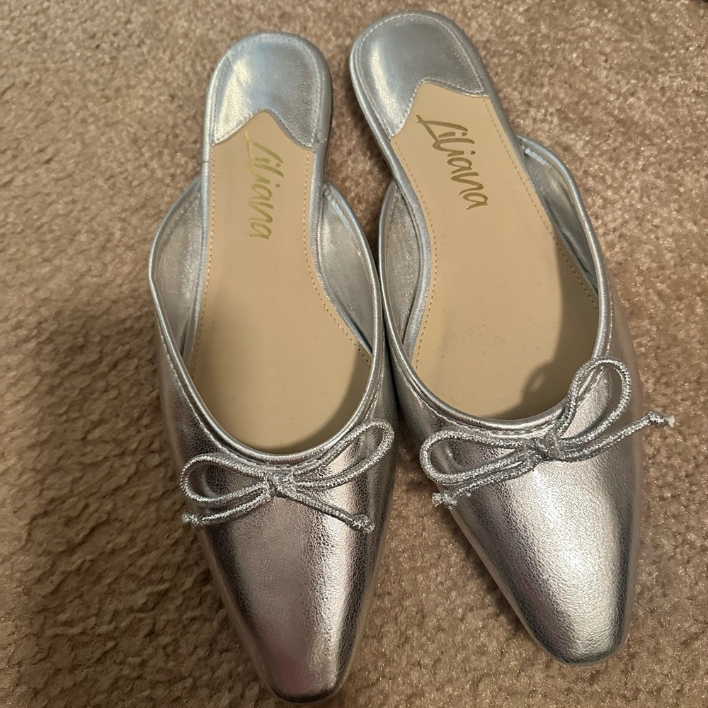 Liliana Silver Flats with Bow Detail